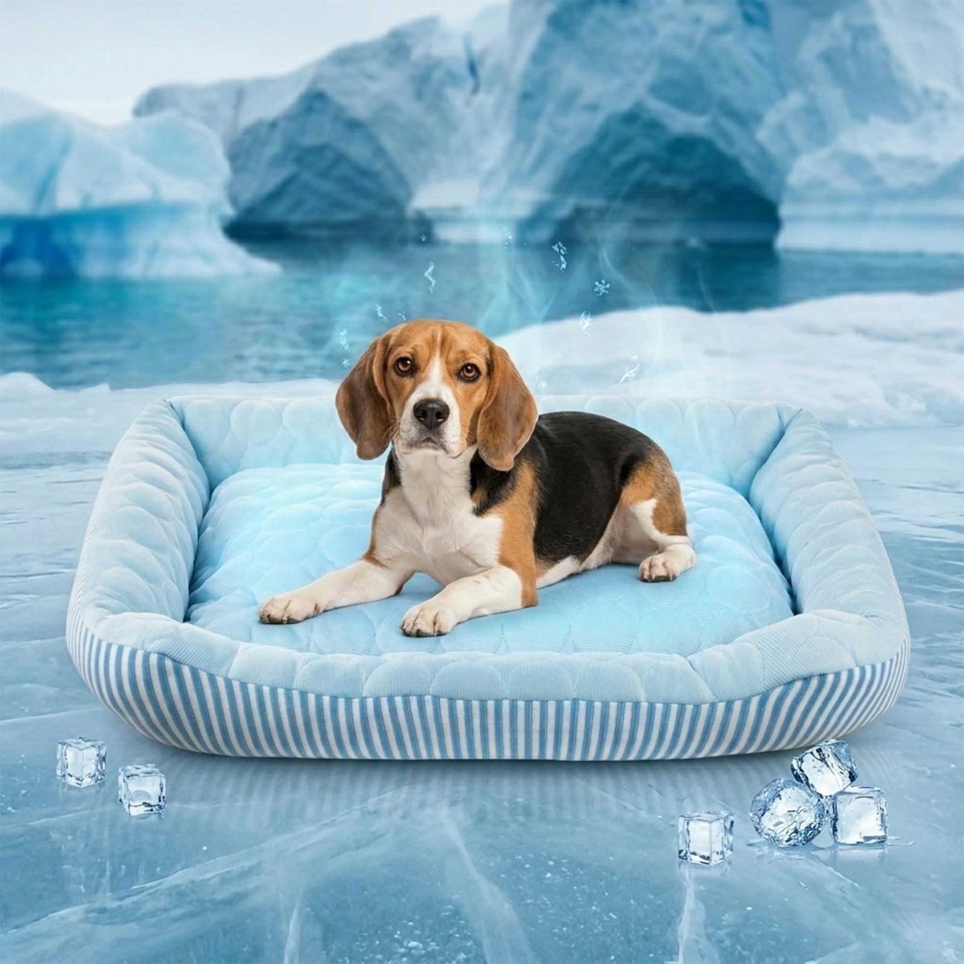 Pbed Dog Cooling Bed Summer Sleeping Cool Ice Silk Bed for Small, Medium, Large Dogs & Cats Breathable Washable Pet Beds with Non-Slip Bottom Blue Medium — image 1