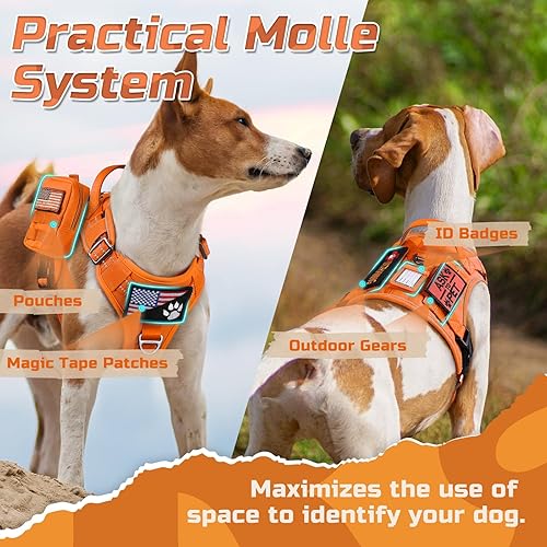Miniatura 4 de rabbitgoo - Arnés táctico para perros medianos, chaleco de servicio militar sin tirones con asa y equipo Molle, fácil control para entrenar y