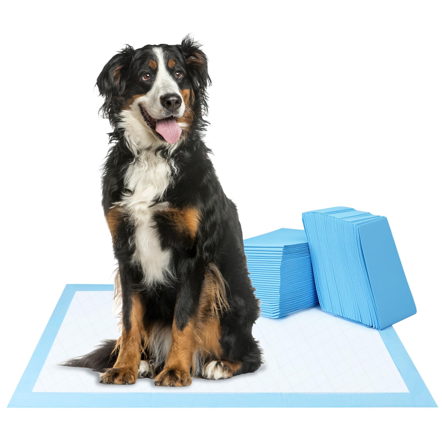 QWORK® 60 Piezas Almohadillas para Cachorros, 75 x 85 cm Almohadillas de Entrenamiento para Mascotas, Alfombrillas para Orinar Altamente Absorbentes, para Medianos Mascotas Pequeñas