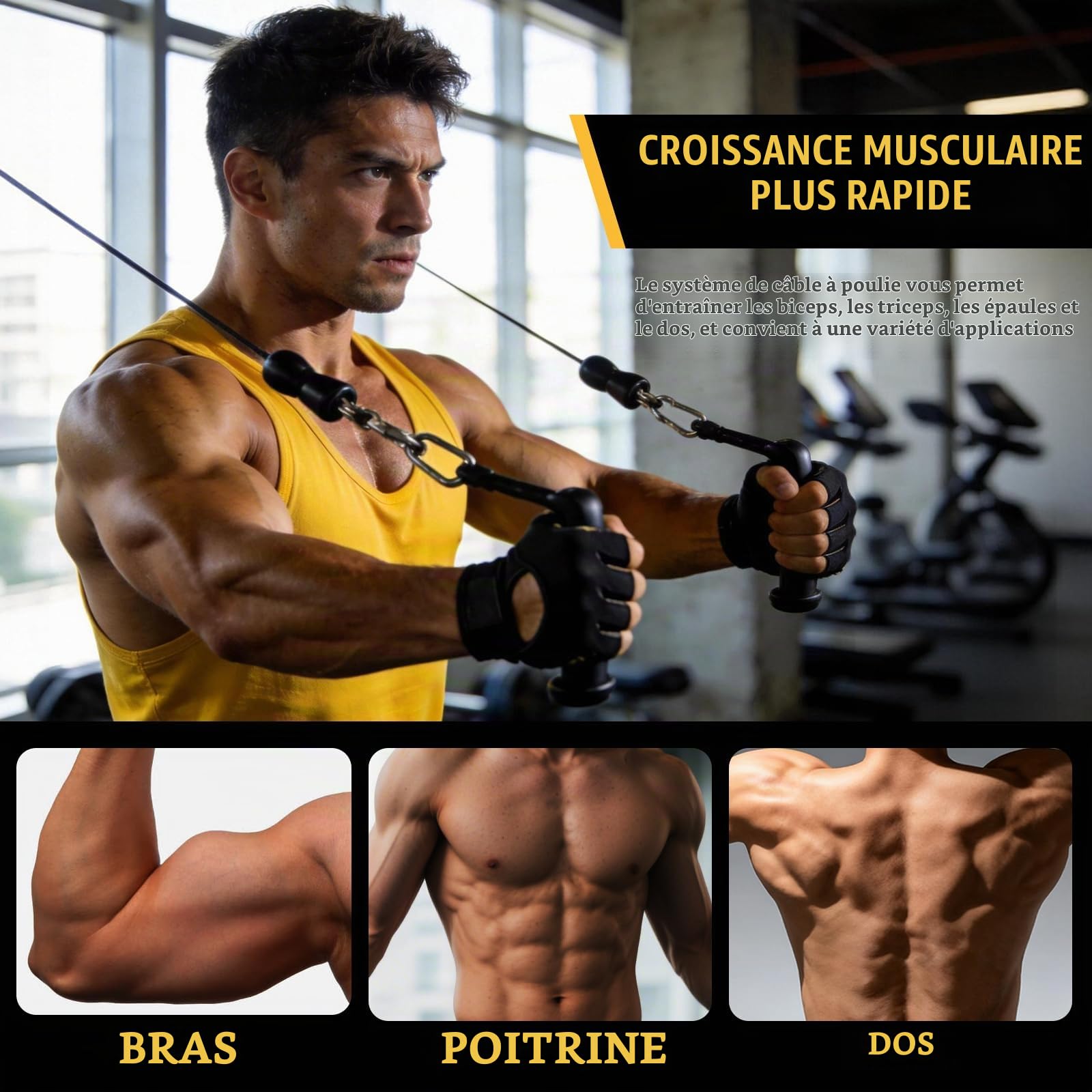 BRGD Poulie Musculation Professionnel Tirage, Système de Poulie D'entraînement pour Flexions de Biceps, Extensions de Triceps, Tirages Verticaux, Tirages Horizontaux et Écartés