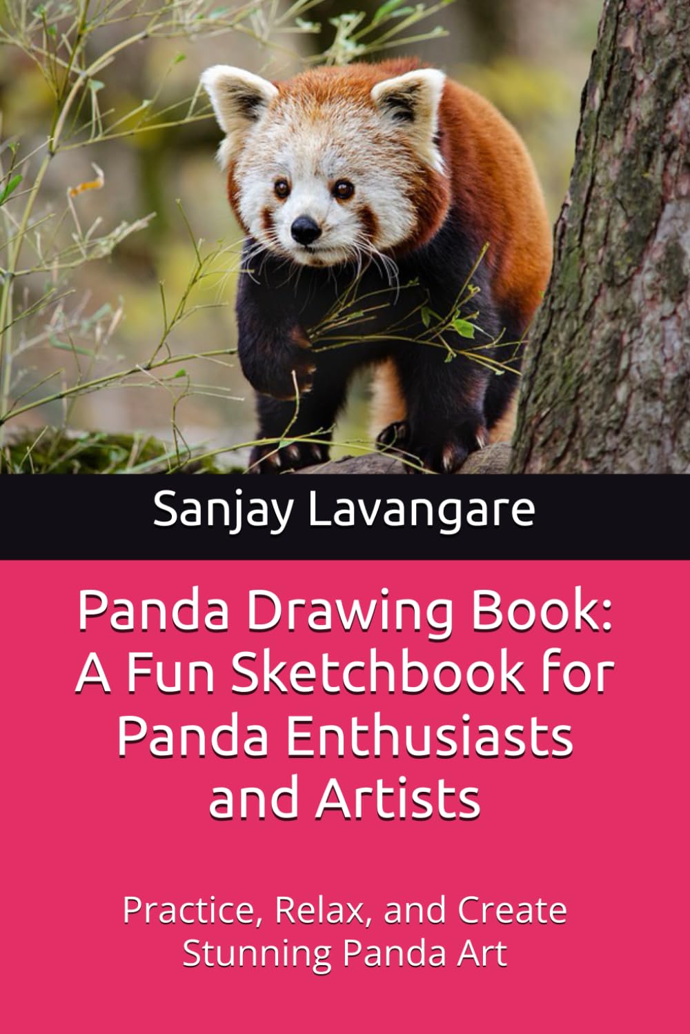 Panda Drawing Book: A Fun Sketchbook for Panda Enthusiasts and Artists: Practice, Relax, and Create Stunning Panda Art