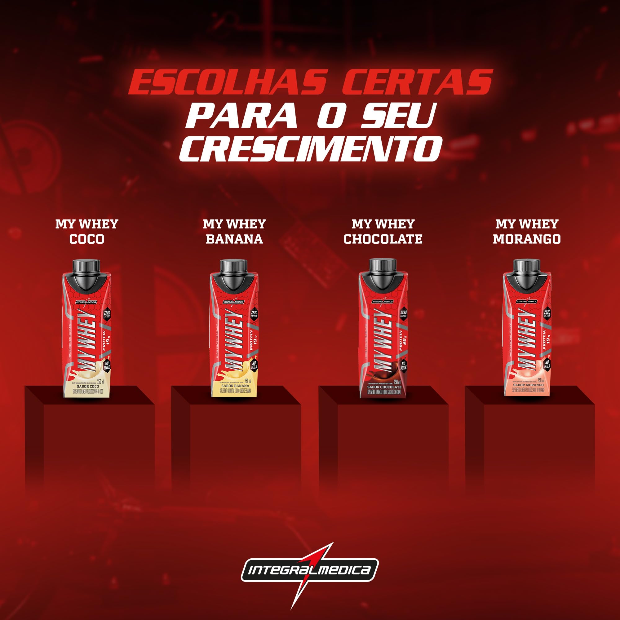 Integralmédica - Bebida Pronta Proteica My Whey - Côco - Pack com