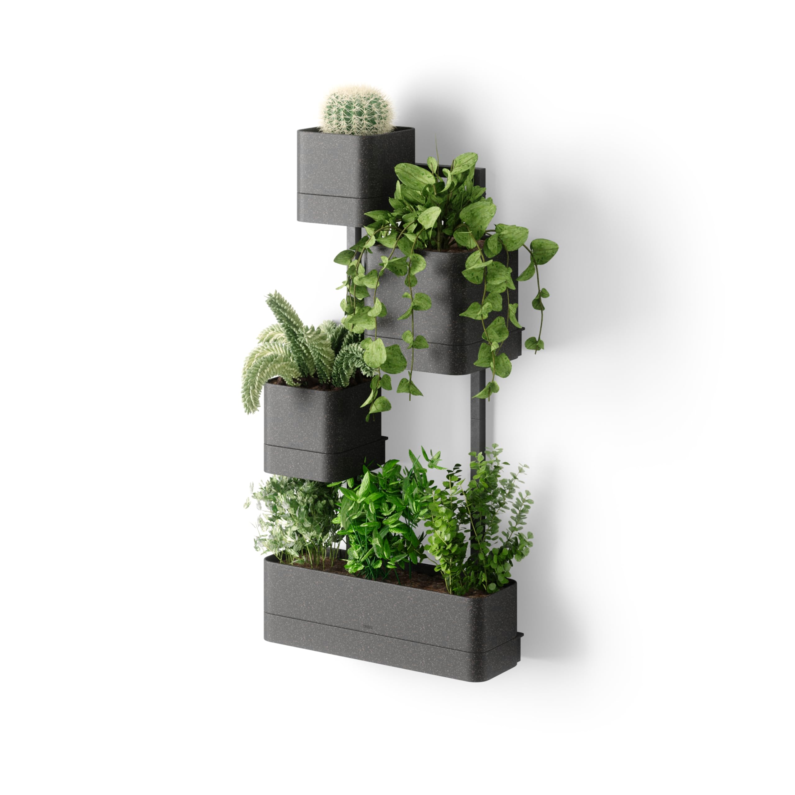 Amazon.com: Umbra Cubiko Wall Planter with 4 Lightweight and