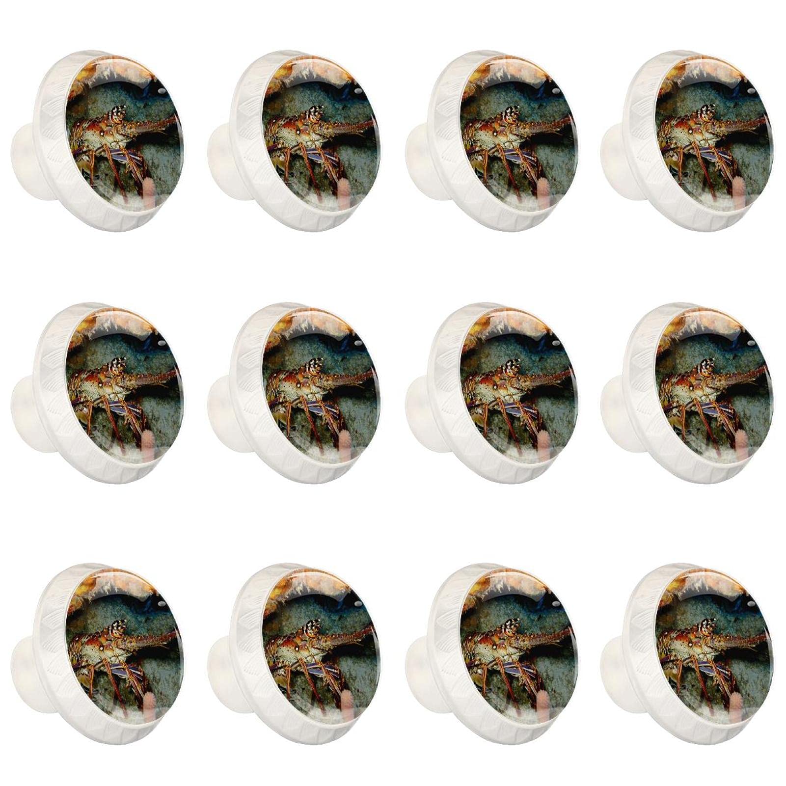 Boutons d'armoires de cuisine ronds boutons tiroirs mer 12 psc