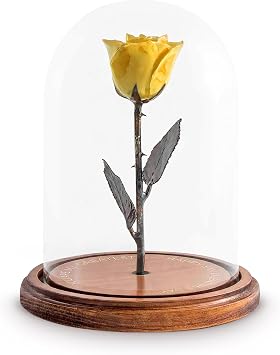 Forever Rose The Yellow Enchanted Rose in Glass Dome