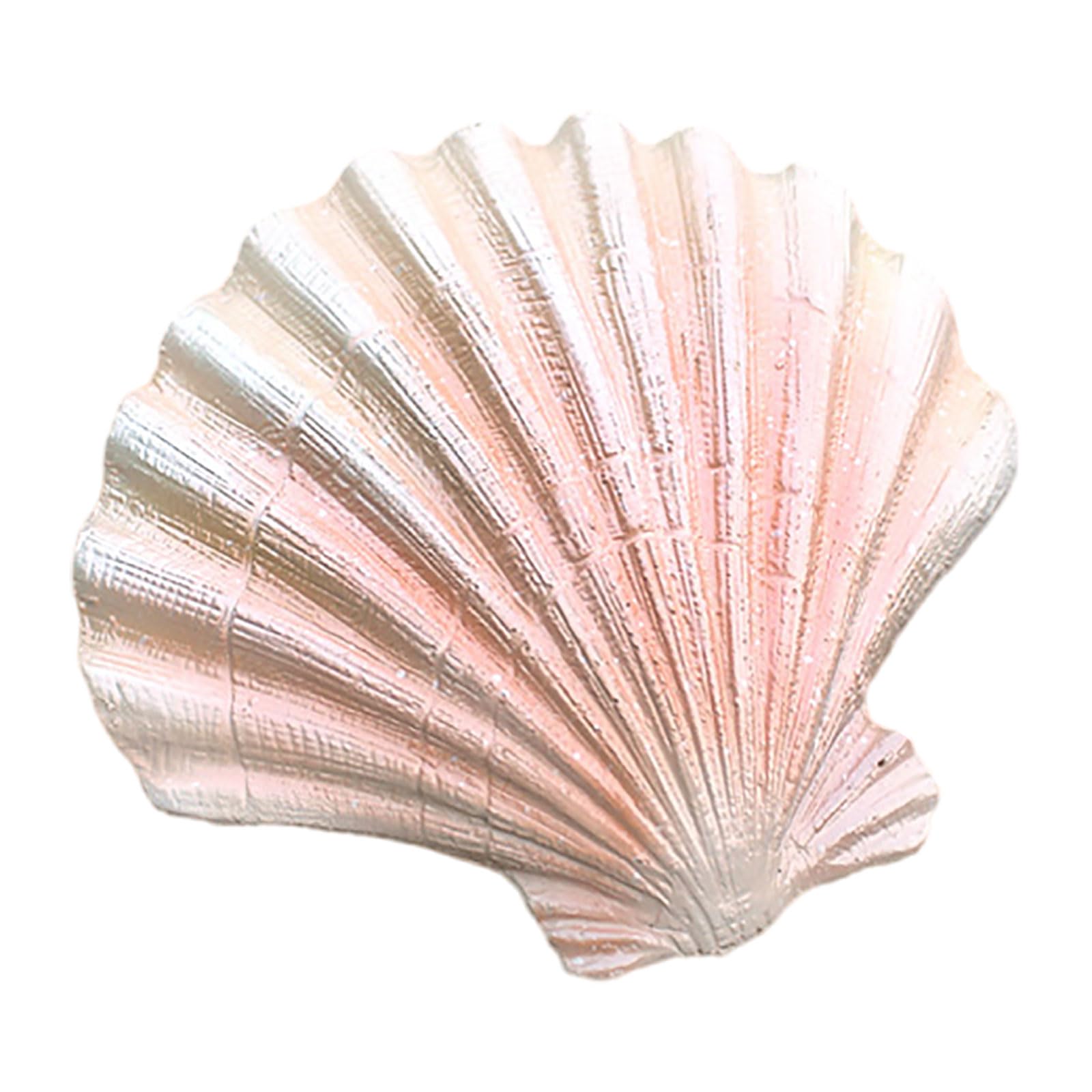 Coquillages d'océan naturels pour votre décoration de mariage sur le thème de la plage
