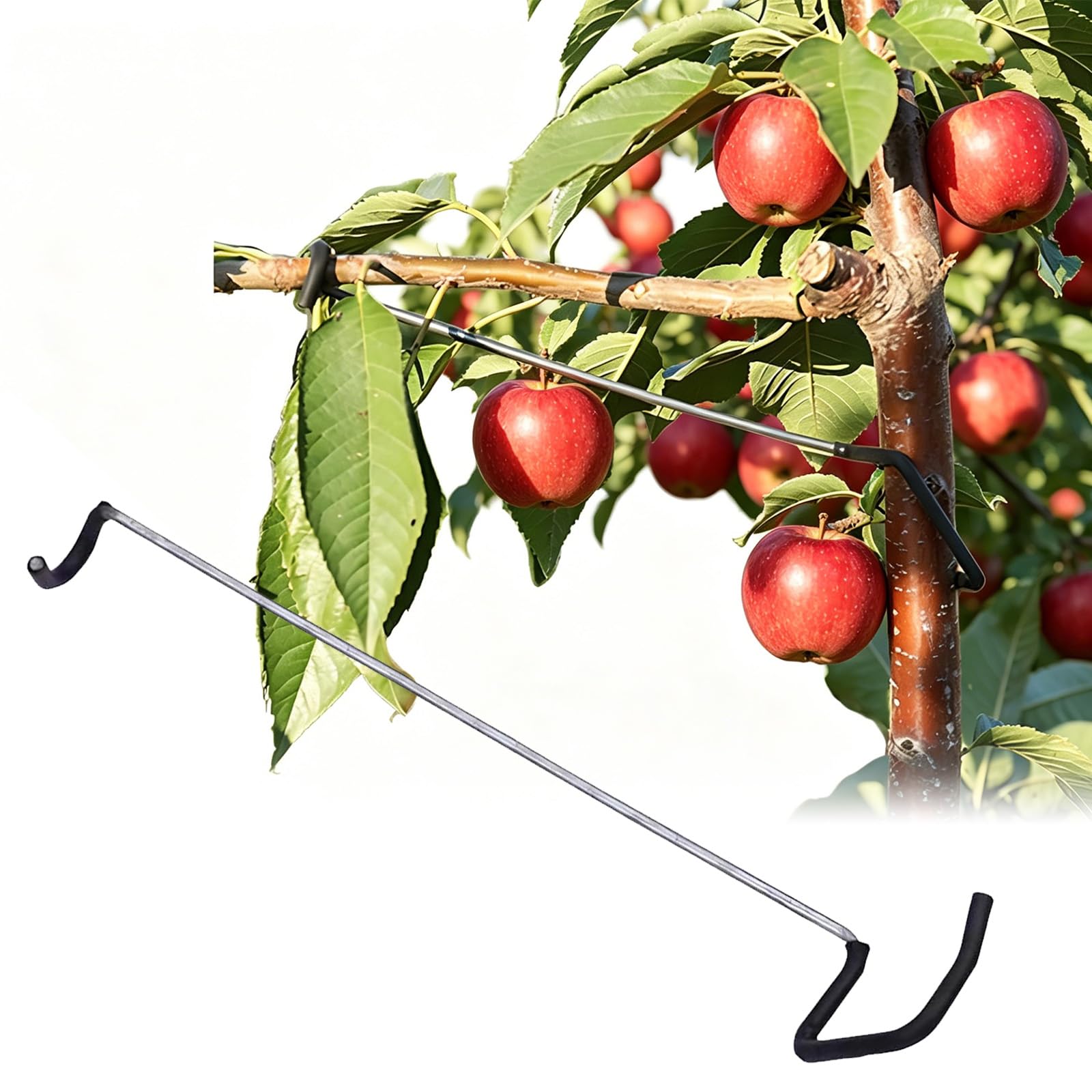 FARYODI Fruit Tree Branch Spreader, Plastic Hose Wrapped Iron Wire Branch Puller, No Damage Tree Open Angle Tool, Durable Tree Support for Fruit Tree Branches Extension (26T)