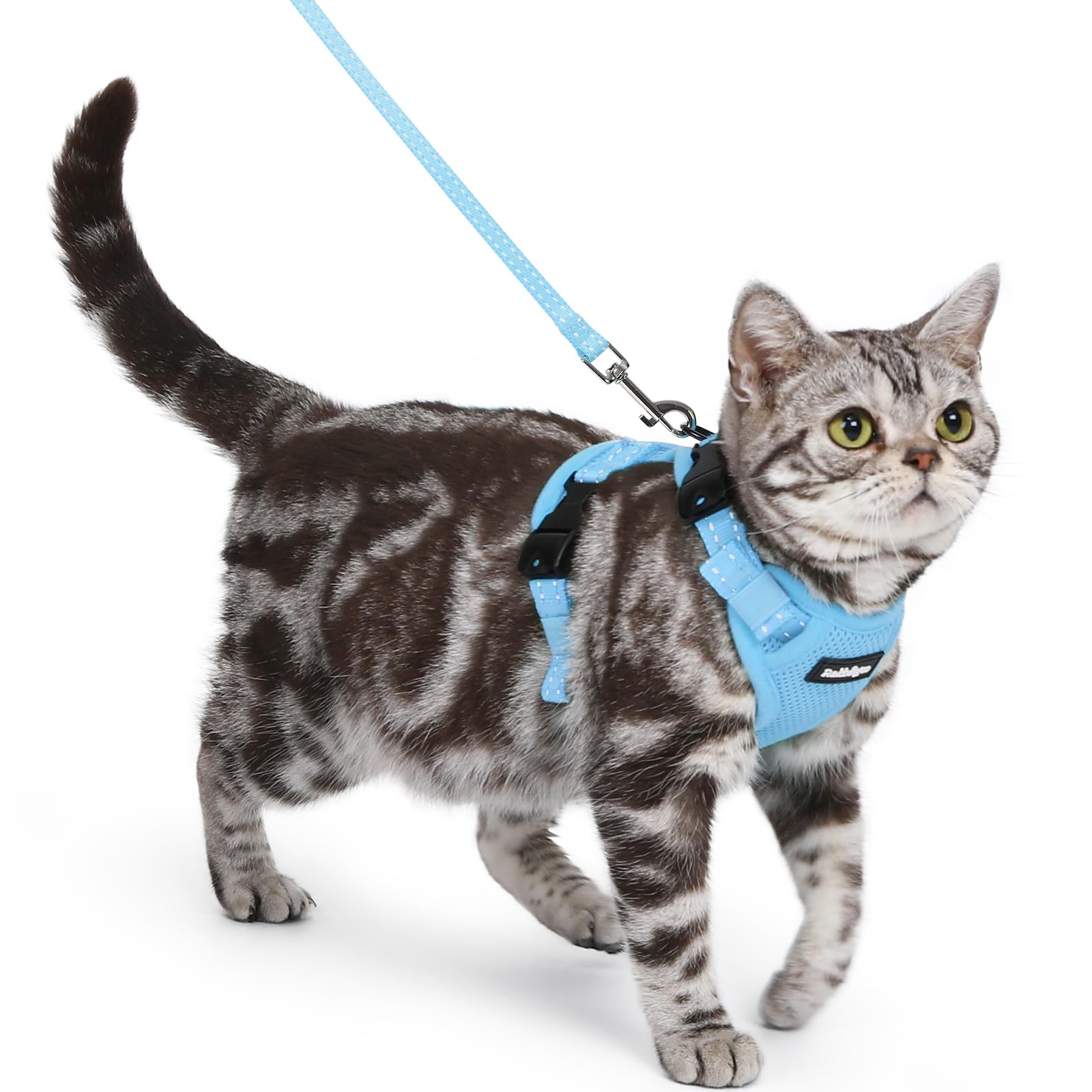 rabbitgoo Cat Harness and Lead Set, Escape Proof Kitten Harness with 3 Adjustable Buckles, Soft Comfortable Cat Vest with Leash, Easy to Wear, Reflective for Safe Outdoor Walking, Small, Sky Blue