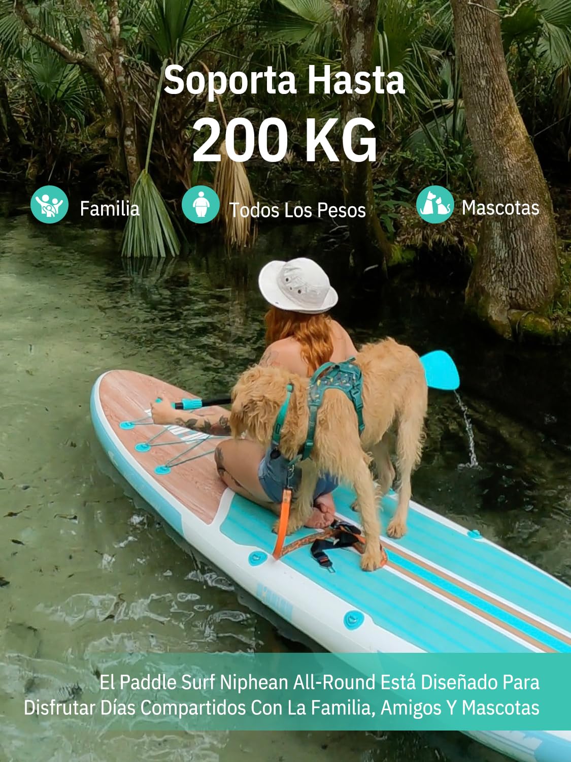 Niphean Tabla Paddle Surf Hinchable para Adultos con Todos los Accesorios, 320cm Paddle Surf Hinchable para Todos los Niveles, Sup Capacidad 200kg para 2 Personas, Stand up Paddle Board con Asiento