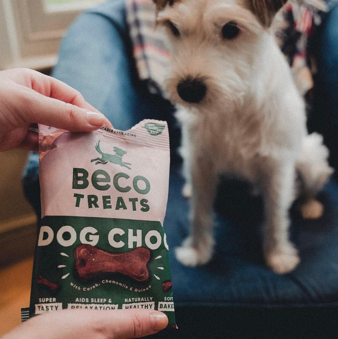 Beco Dog Treats 70g x 10 Packs, Cashew With Pumpkin Seed and Coconut