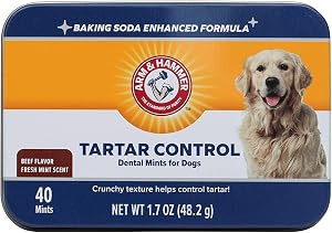 Pet Supplies