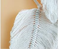 Vista 4 de Tapiz de macramé tejido de algodón, atrapasueños, tejido a mano con borlas de plumas, adorno para manualidades, dormitorio, sala de estar, Beige