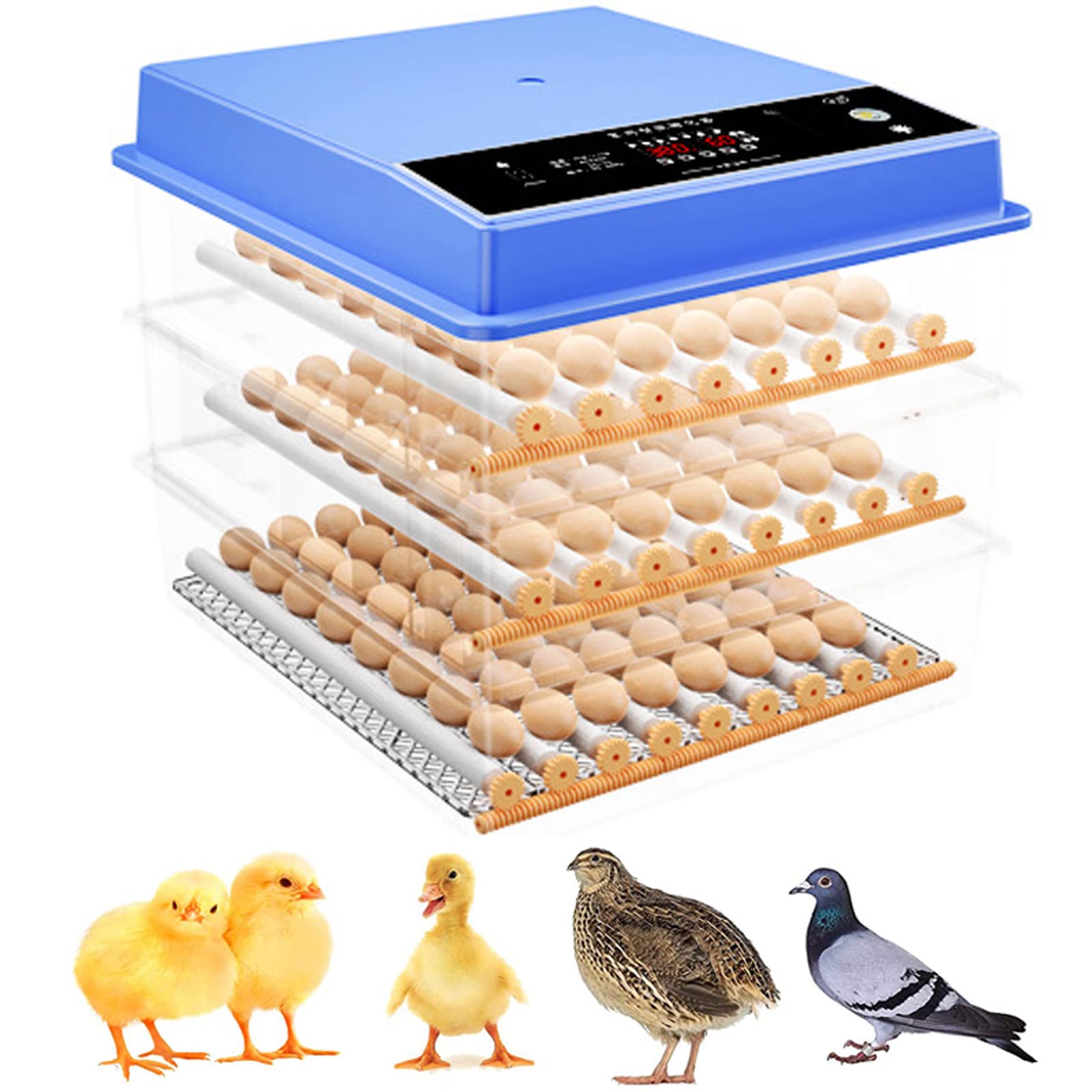 Incubadora de 16 Huevos Incubadora Digital Incubadora automática con función de Giro automático Máquina de incubación de Pollos Incubadora de Aves de Corral de Laboratorio