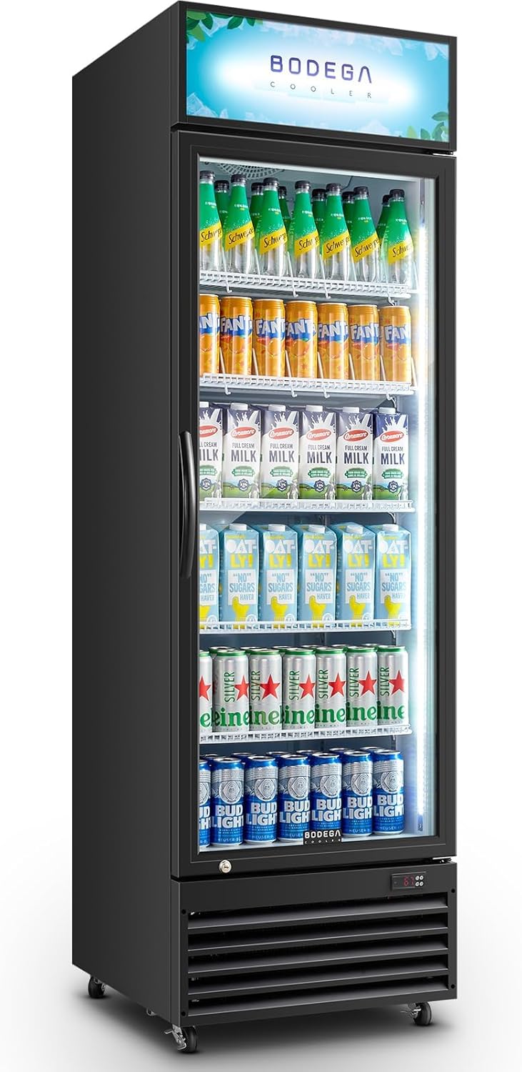 BODEGACOOLER Commercial Merchandiser Refrigerator, 15.5Cu. Ft Glass Door Upright Display Fridge, Beverage Refrigerator Cooler with LED Light, 4 Strong Castors for Stores, Restaurant, Office(Black) BODEGACOOLER Commercial Merchandiser Refrigerator, 15.5Cu. Ft Glass Door Upright Display Fridge, Beverage Refrigerator Cooler with LED Light, 4 Strong Castors for Stores, Restaurant, Office(Black)