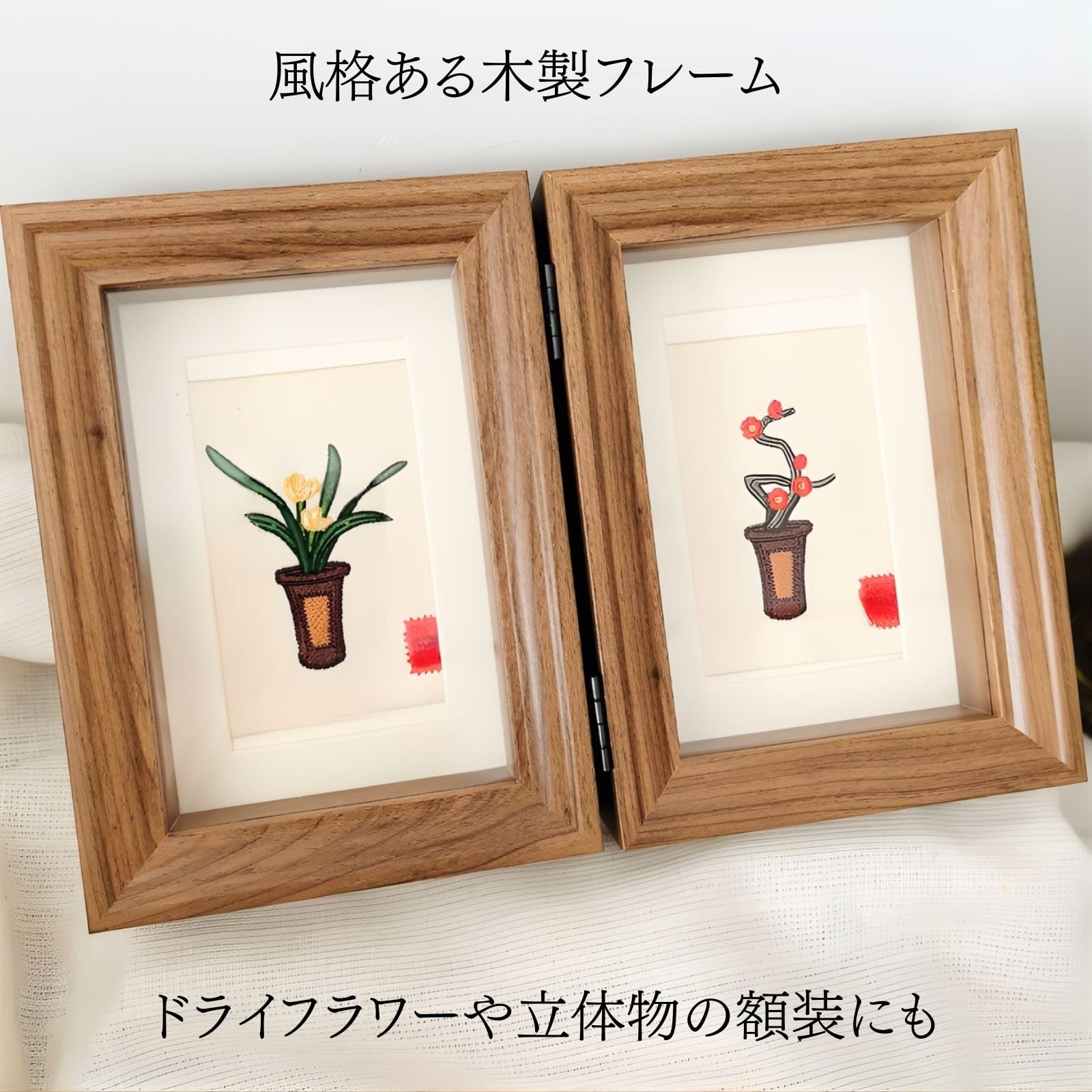 Amazon.co.jp: Miaomyao コレクションケース 標本キット標本箱 昆虫 Amazon.co.jp: Miaomyao コレクションケース 標本キット標本箱 昆虫