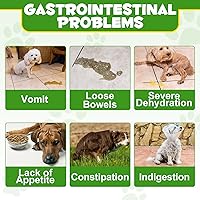 Vista 4 de Probióticos en polvo para perros Suplemento digestivo pre y probiótico con enzimas digestivas y prebióticos para el apoyo del perro salud