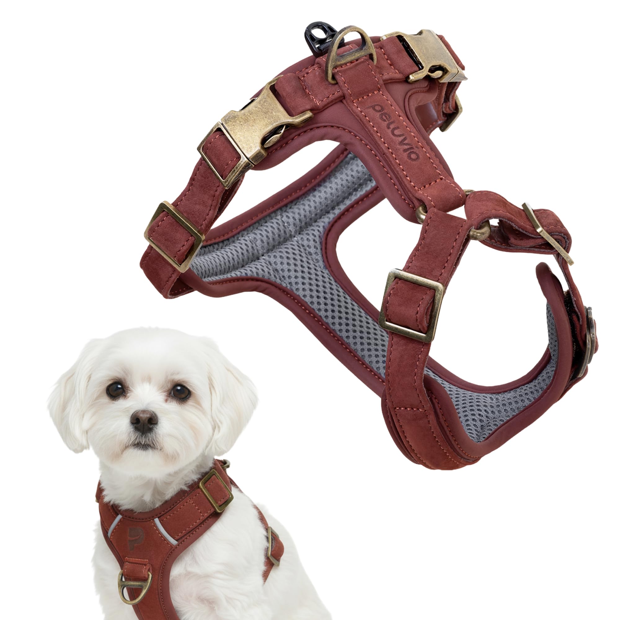 Lord Arnés de Cuero para Perro con Construcción Guard, Vacuno Natural, para Perros Muy Pequeños Y Cachorros, Comodidad Y Libertad de Movimiento (XS)