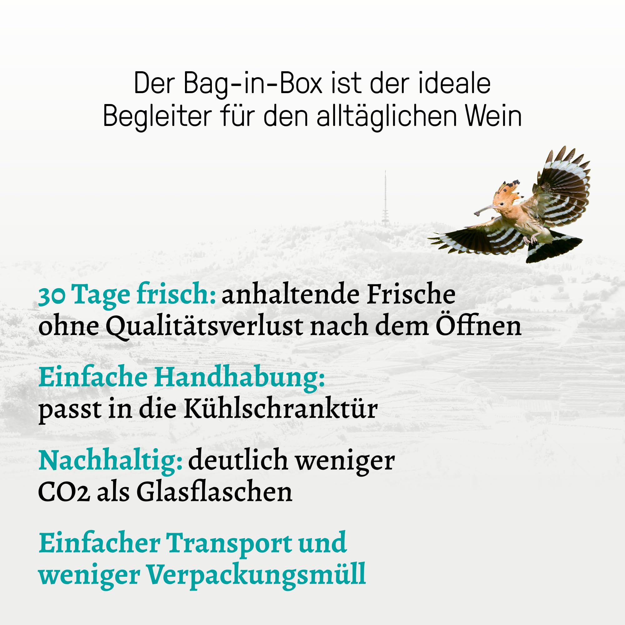 Sonnenstund Grauburgunder trocken 3 Liter Wein-Box - SILBER 2026 AWC Vienna - Zarte Fruchtaromen nach Pfirsich, Apfel und Zitrusfrüchten, Grauer Burgunder QbA vom Kaiserstuhl (2 x 3,0 l Bag-in-Box)