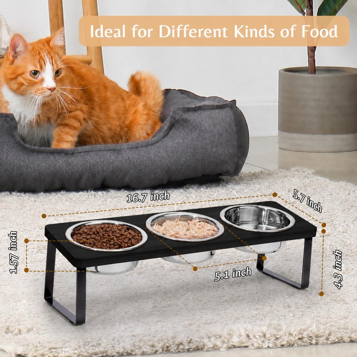 【Erhöhte Katzennäpfe für Futter und Wasser】 15° geneigter erhöhter Katzennapf-Set Schnurrhaarfreundlich, 3 Schwarze Edelstahl-Anti-Erbrechen-Schalen mit Ständer für Indoor-Kätzchen, Kätzchen und
