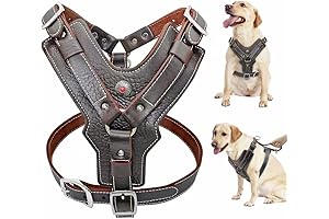 PET ARTIST Genuine Leather Large Dog Harness Heavy Duty Dog Vest Soft for Big Dogs