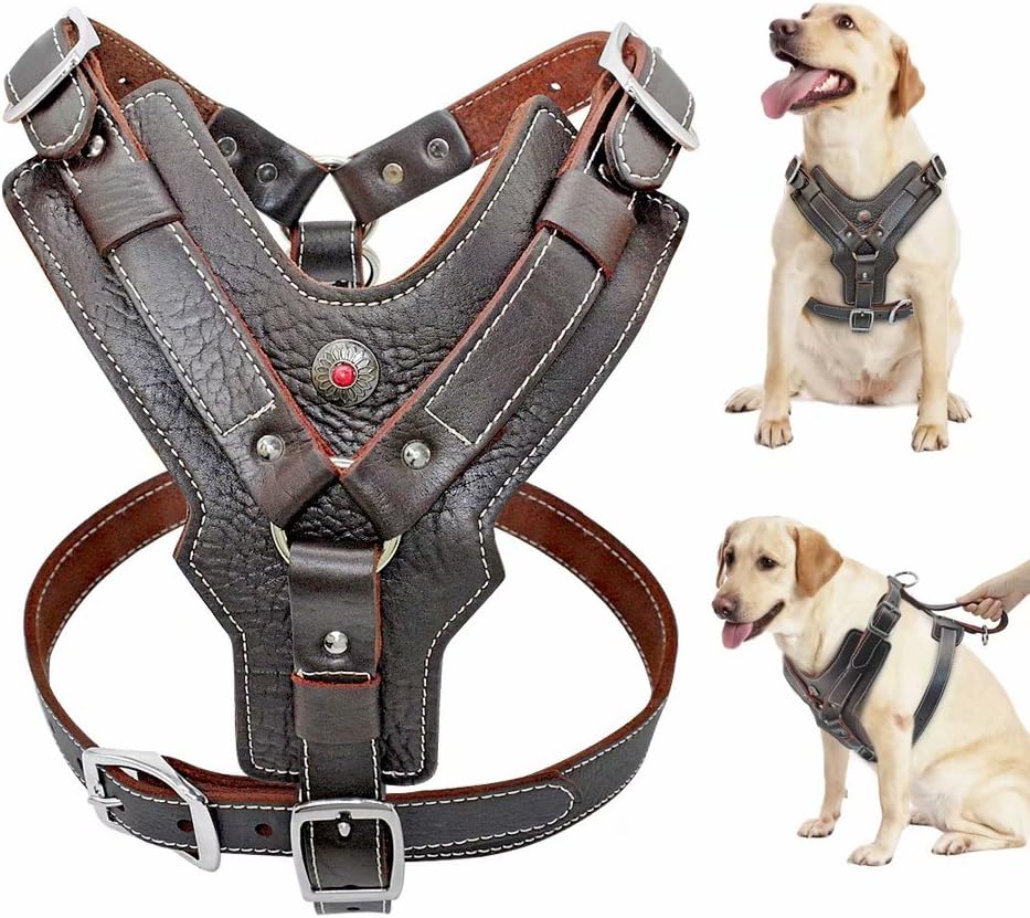 PET ARTIST Durable Leather Dog Harness for Medium Dogs，Adjustable Comfortable Design with Strong Metal Buckles and Handle for Daily Walking for Bulldog/Dalmatian/Schnauzer