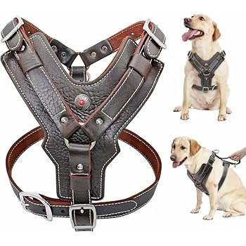 custom built dog cages