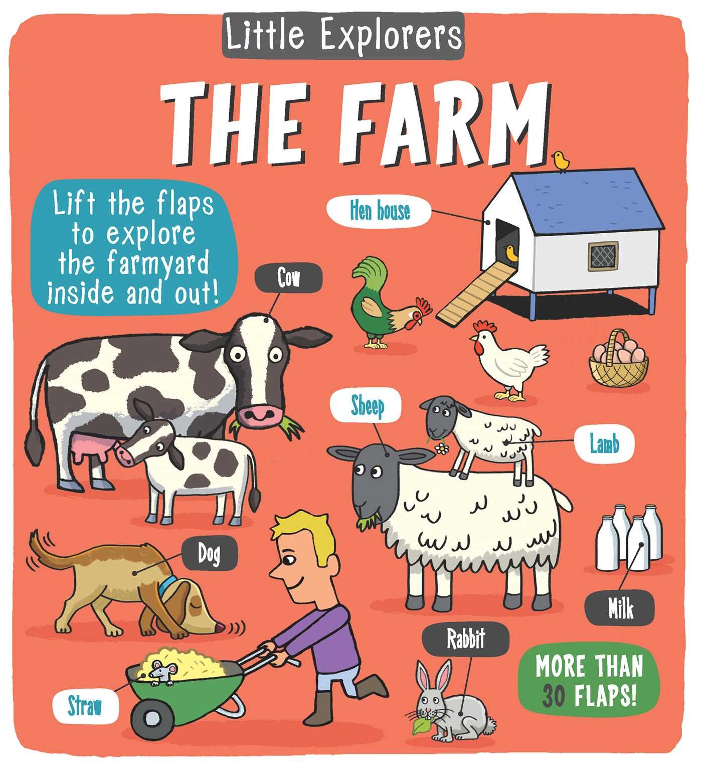 Little Bee Books Explorers: The Farm