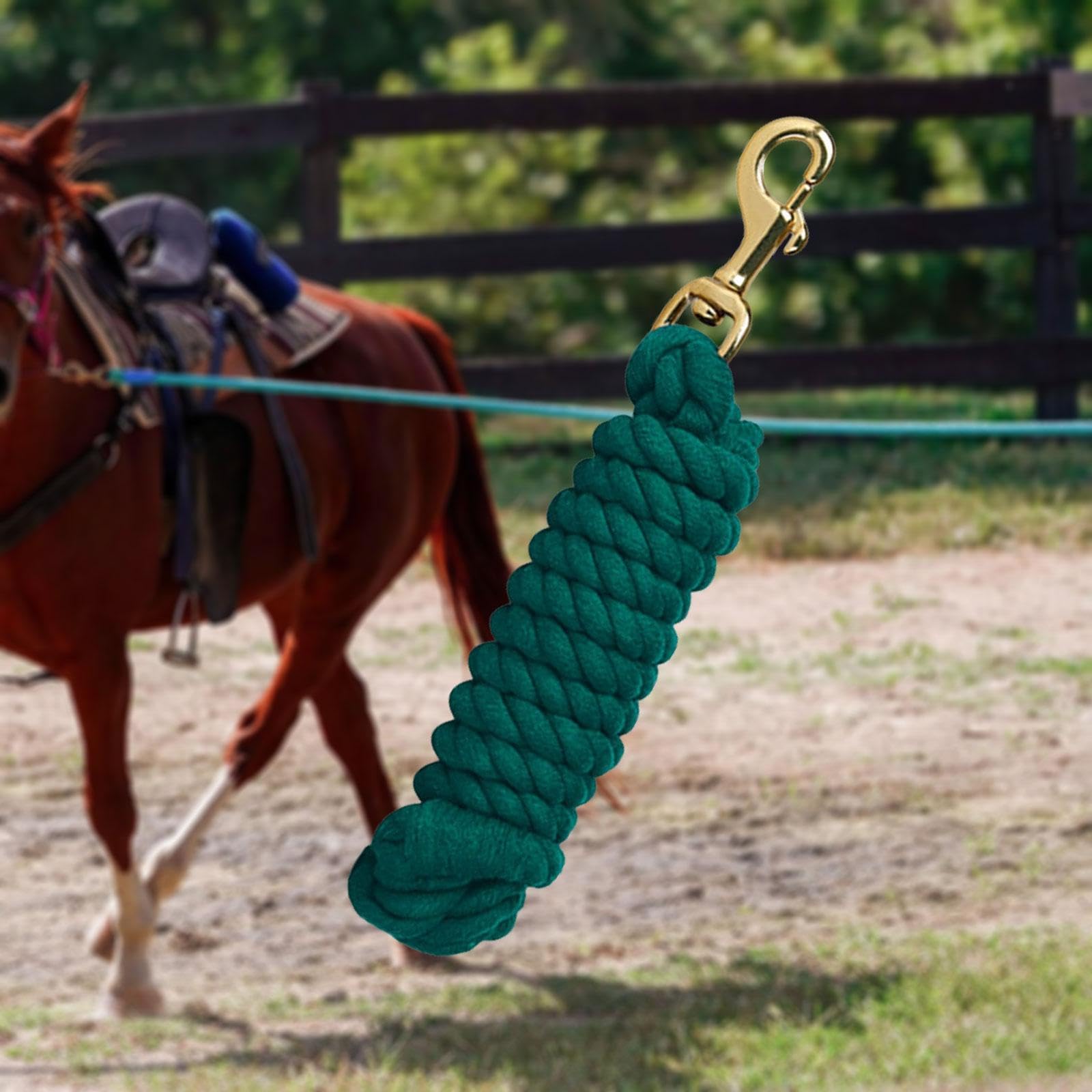 Oshhni Corda per Cavalli, Corda per affondo per Cavalli, Corda per Cavalli, Pratica Fune in Cotone per Bestiame, Corda per Cavalli con moschettone, Verde