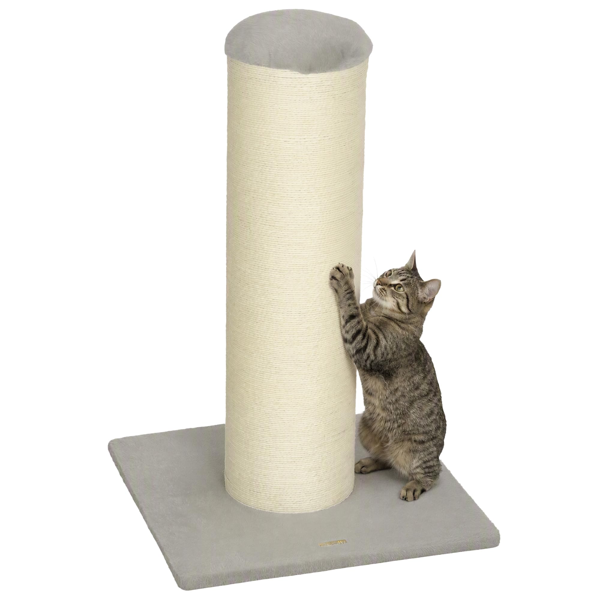 PawHut Cat Scratching Post 76cm Tall for Indoor Kittens Light Grey