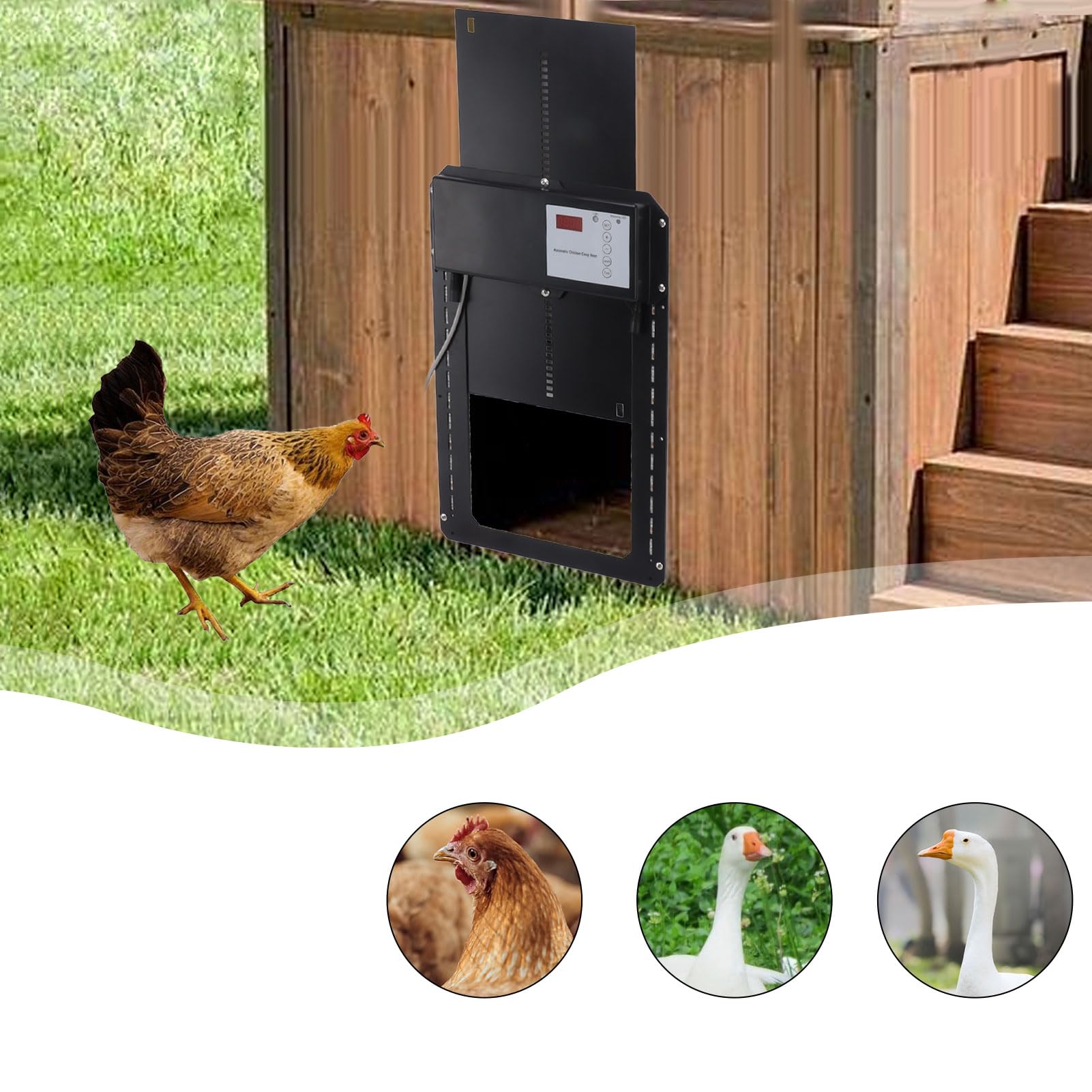 Porta automatica per pollaio 3 in 1, porta per pollaio con sensore di luce IP44 con temporizzazione, telecomando, display a LED Porte automatiche per pollai per polli, anatre, oche (Regno Unito)