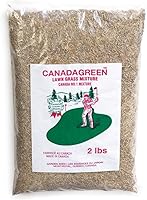 Canada Green Grass Lawn Seed 2 lb Bag - Grows Thick Healthy Rich Green Grass for Yards & Gardens