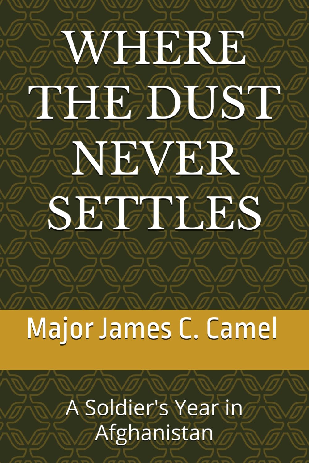 WHERE THE DUST NEVER SETTLES: A Soldier's Year in Afghanistan