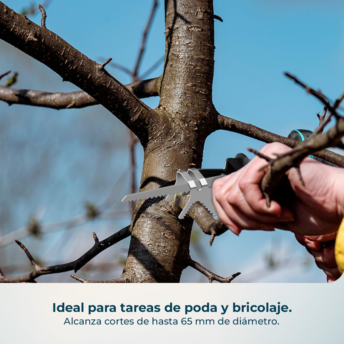 Cecotec Sierra de Sable LongFlex 1200 Home&Garden. 550W, Incluye 2 Baterías de 12V, Cortes de hasta 65mm con Recorrido de 20mm, Accesorio para Cortar Ramas, Incluye 6 Cuchillas y Maletín