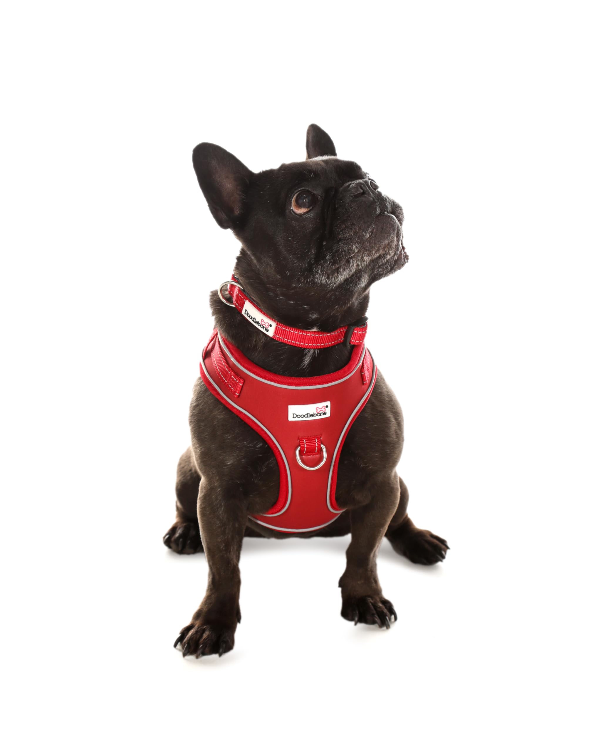 Doodlebone, Adjustable Airmesh Harness, Over Head Dog Harness with Adjustable Neck and Chest, Dual D Rings - Image 2