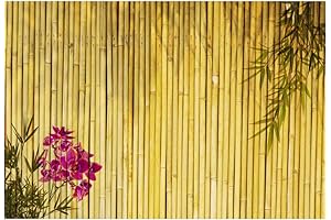 CSFOTO Vietnamese Tet Backdrop 2024 - Bamboo Party Background