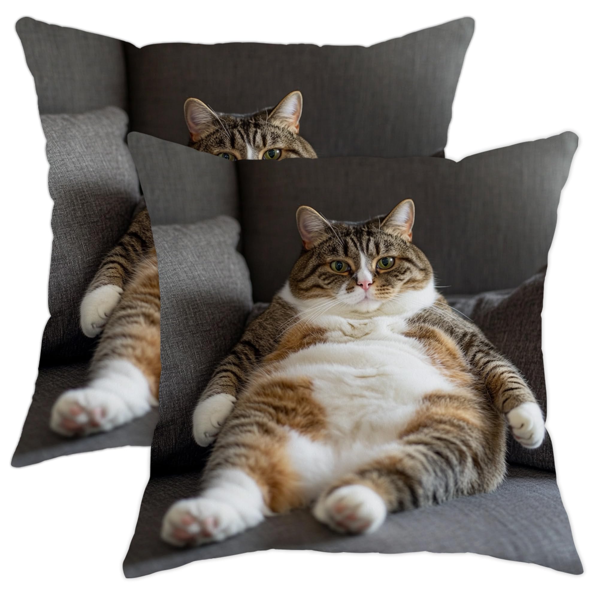 Cute Cat Pillow Covers Set of 2, Playful Tabby Cat Throw Pillow Cases, Cozy Decorative Square Cover for Living Room Sofa Bed Couch 18x18 Inch