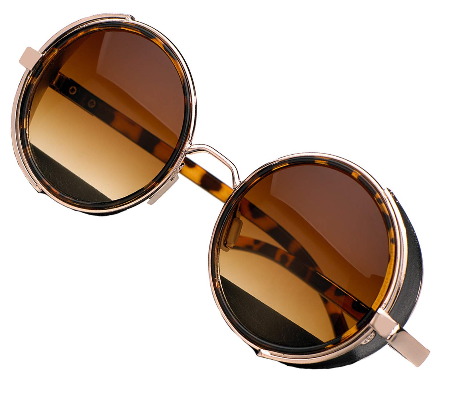 Unisex Round Steampunk Sunglasses Mirrored 50s Glasses Cyber Goggles MFAZ Morefaz Ltd (Panther)