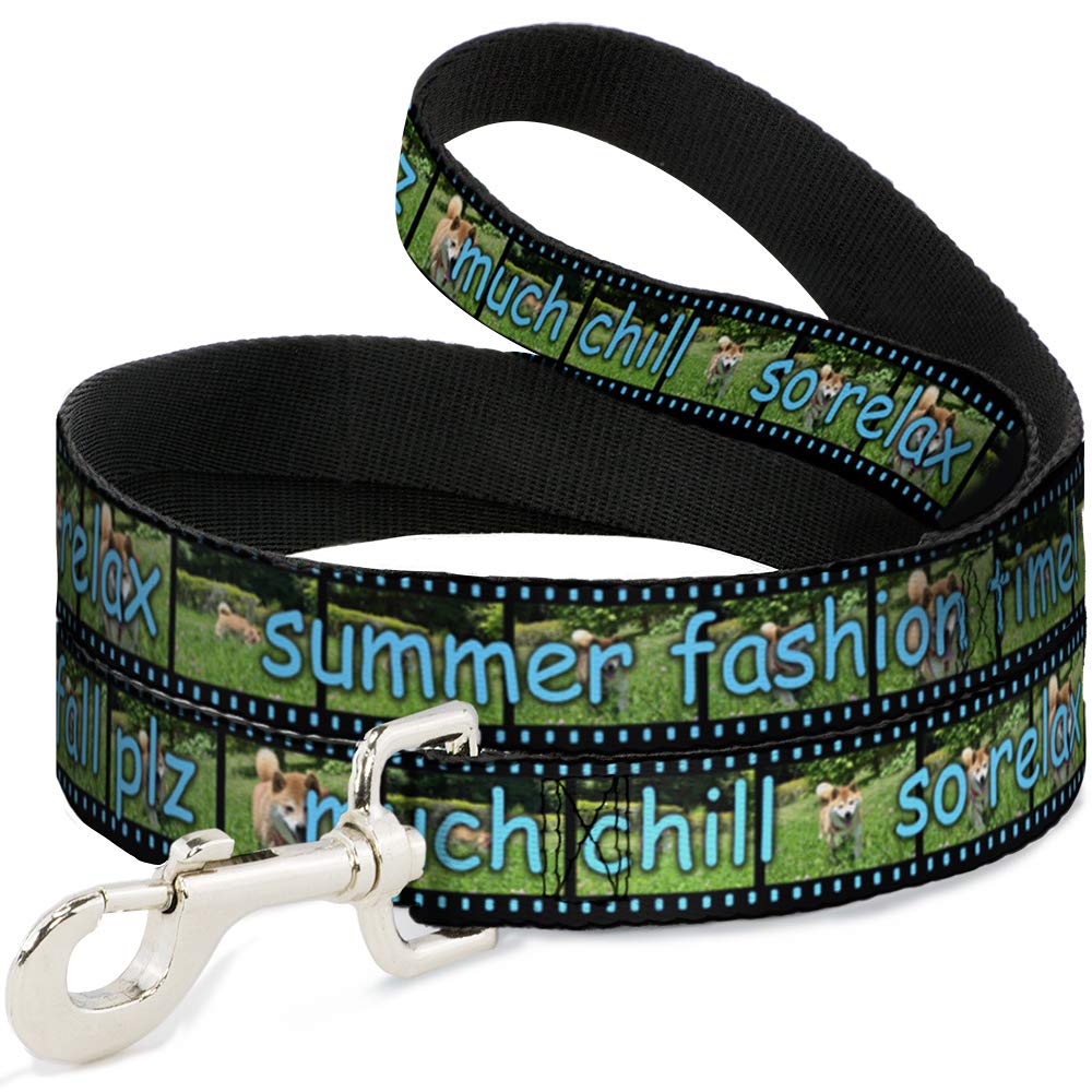 Laisse pour animal domestique Buckle-Down anti-traction pour garder le contrôle