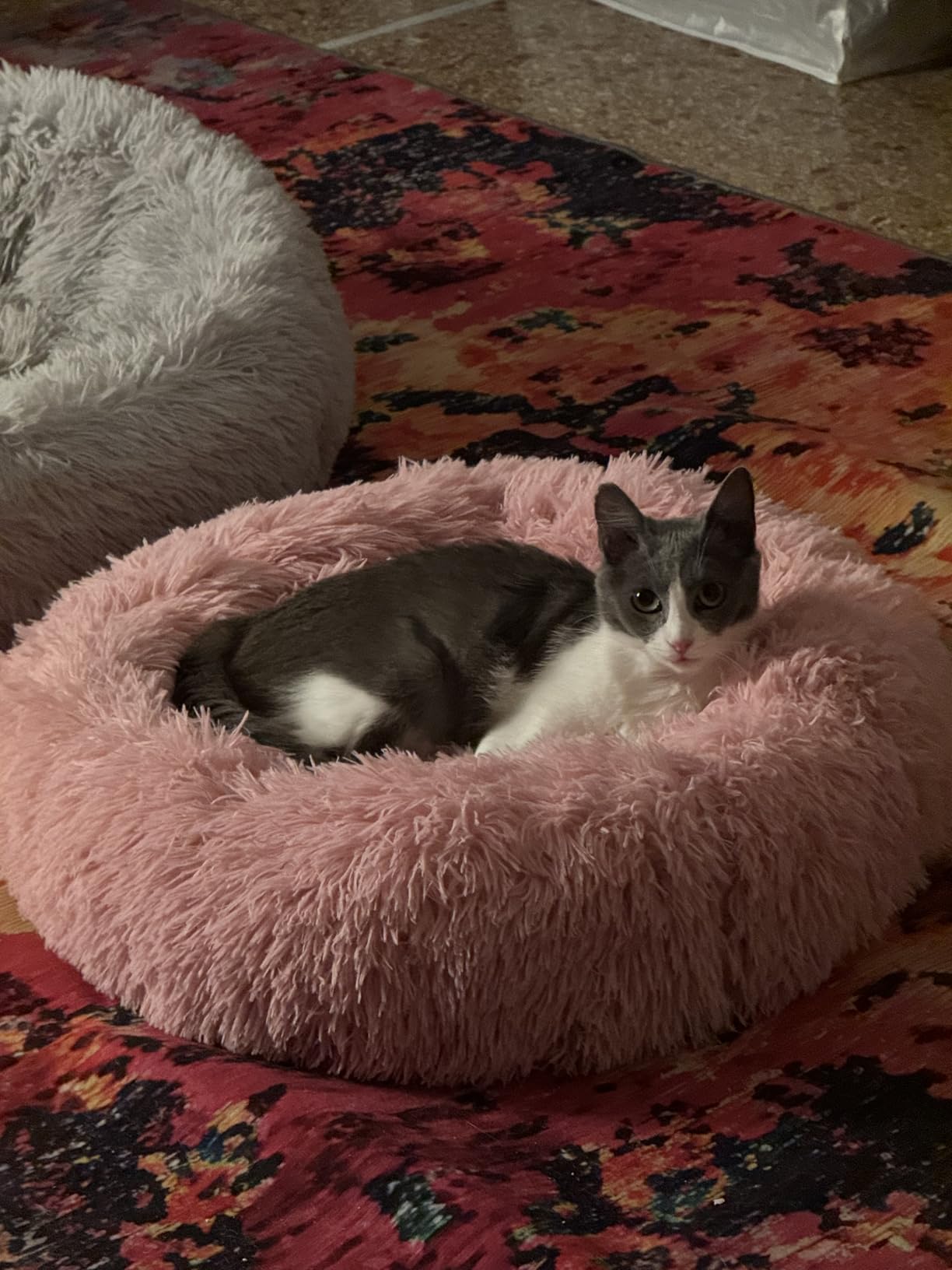 Immagine del cliente