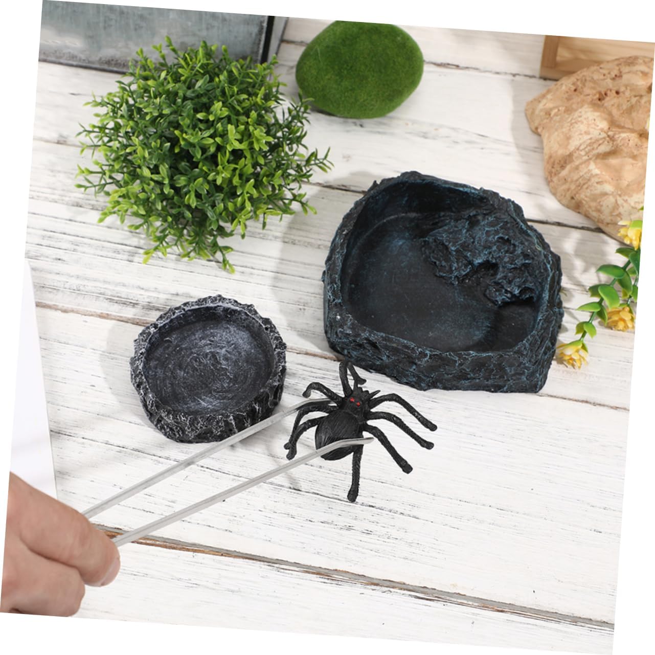 Garneck Reptile Accessories Large Reptile Water Bowl Snake Feeding Accessory Easy to Clean