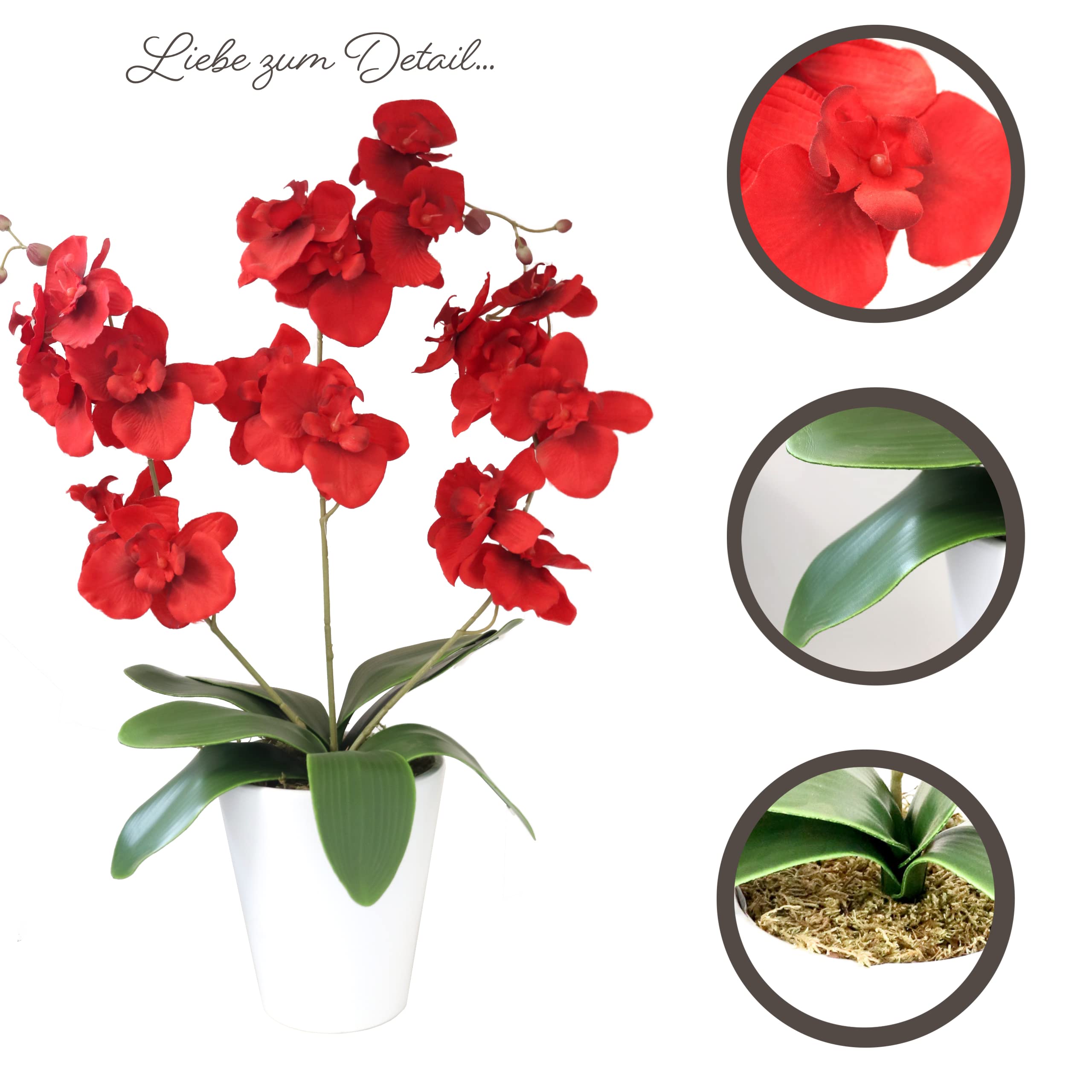 Amazon.de: Orchidee 3 Rispen Phalaenopsis Kunst-Orchidee Kunstpflanze  Dekopflanze Topfpflanze Seidenblume Kunstblume Zimmerpflanze Pflanze Blume  knstlich Topf Keramik rot 60 cm 1017101-01 getopft F73