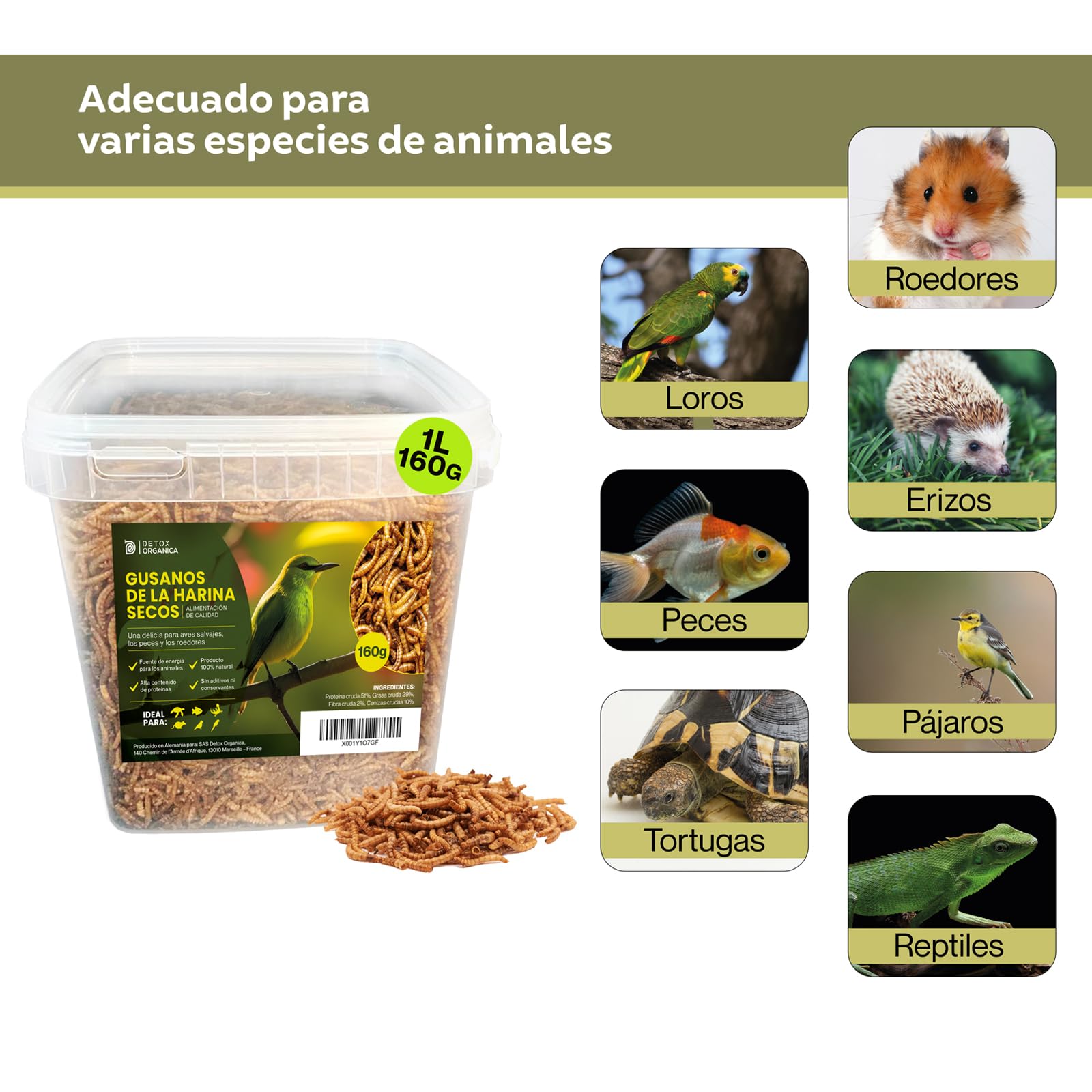 Detox Organica Gusanos de la Harina 160g – Gusanos de la Harina Deshidratados 1L – Gusanos para pájaros disecados – 100% Natural
