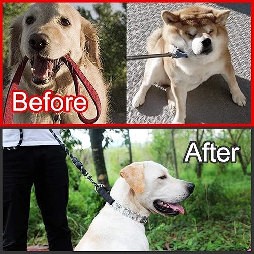 Miniatura 5 de CBBPET Collar de punta para perro, collar de entrenamiento ajustable para perros con hebilla de liberación rápida para perros pequeños, medianos y