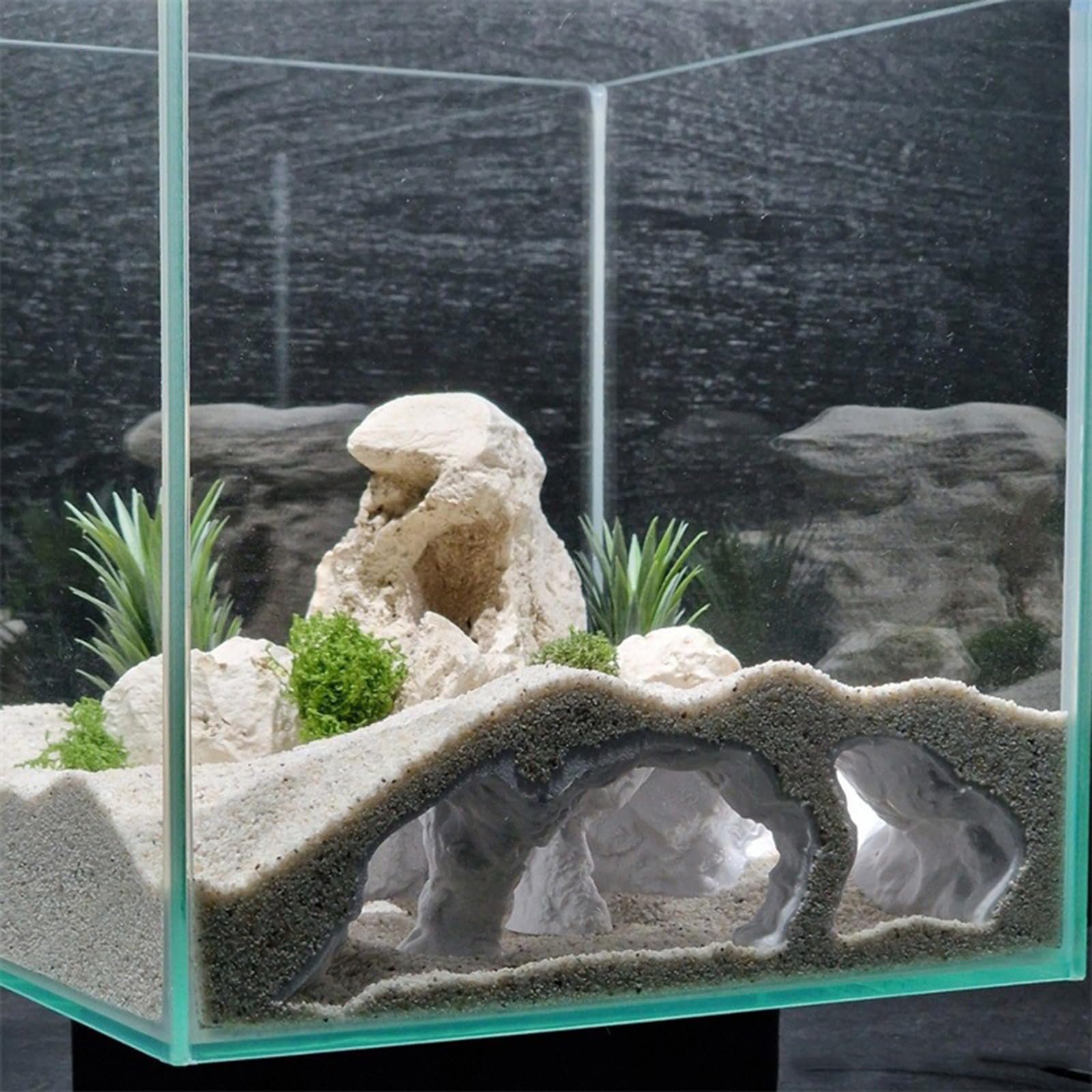 View 8