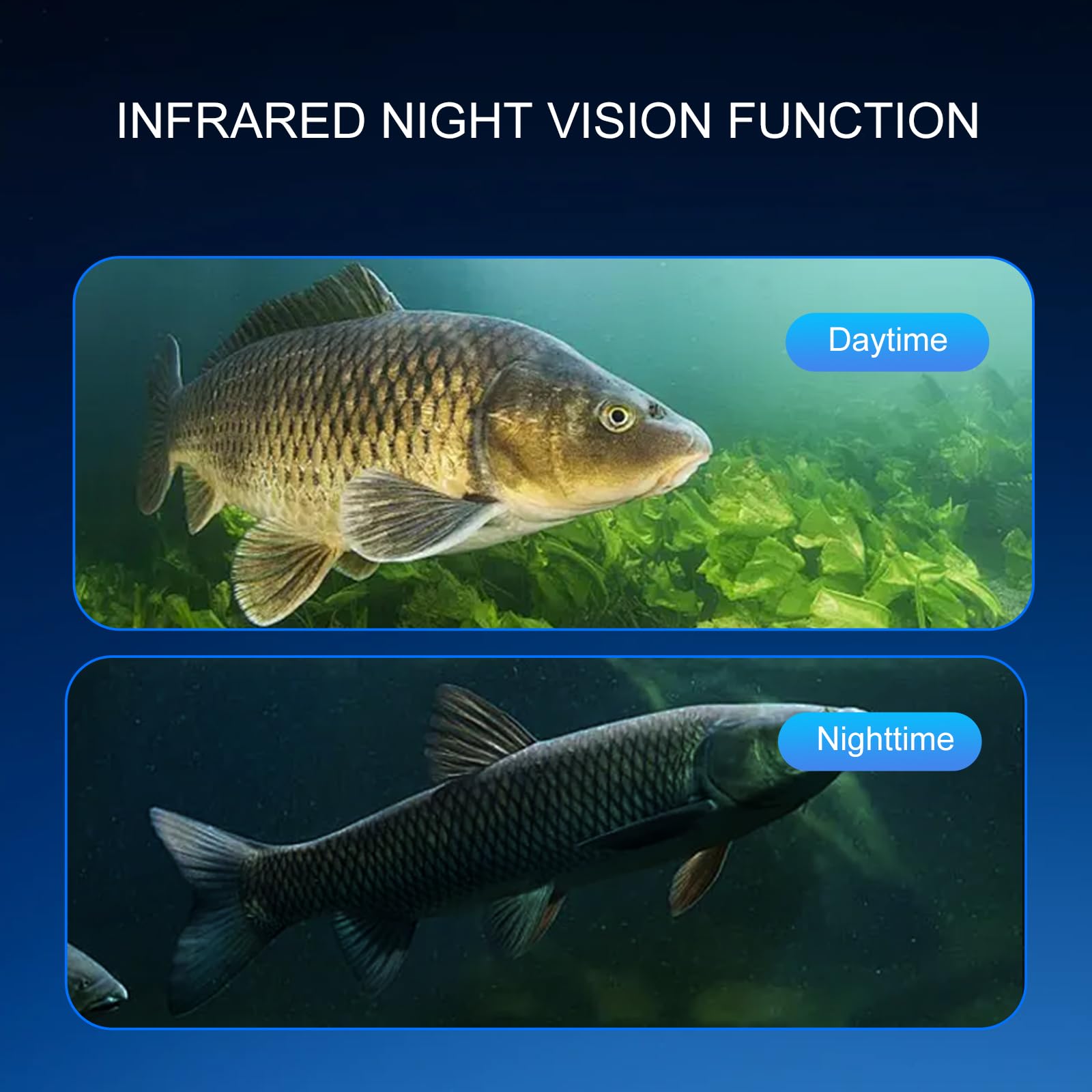 Cámara de pesca subacuática de 360° con monitor portátil de 5 pulgadas, rendimiento nocturno, cable Fishfinder 1000 TVL 30M