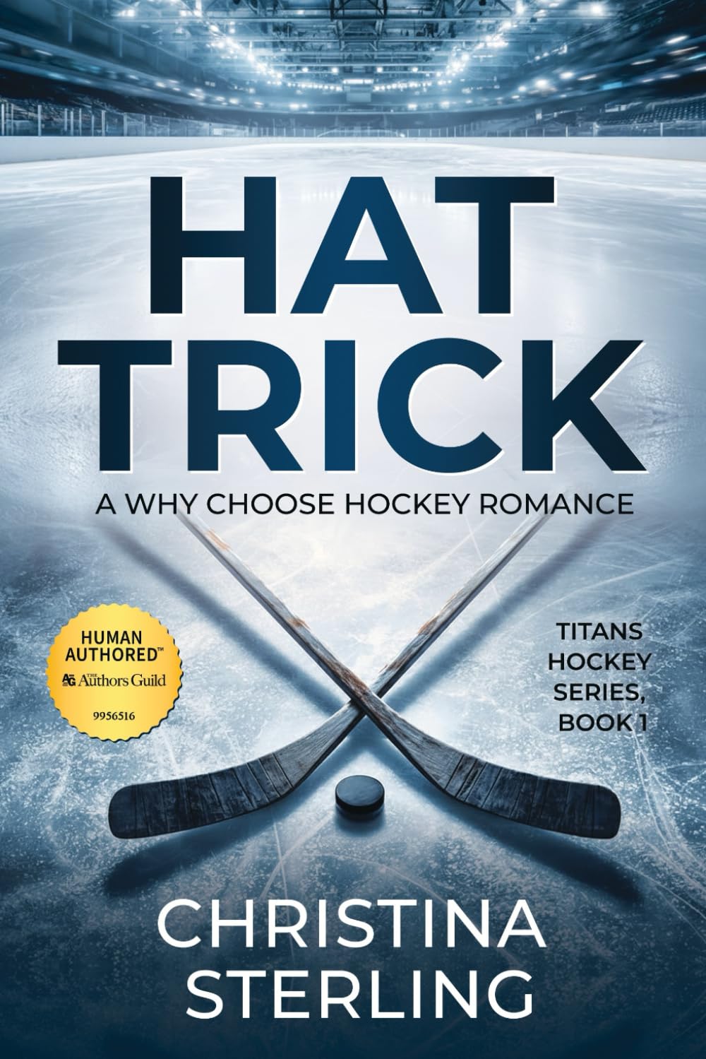 Hat Trick: Nanny for the Hockey Players: A Why Choose Hockey Romance (Titans Hockey)