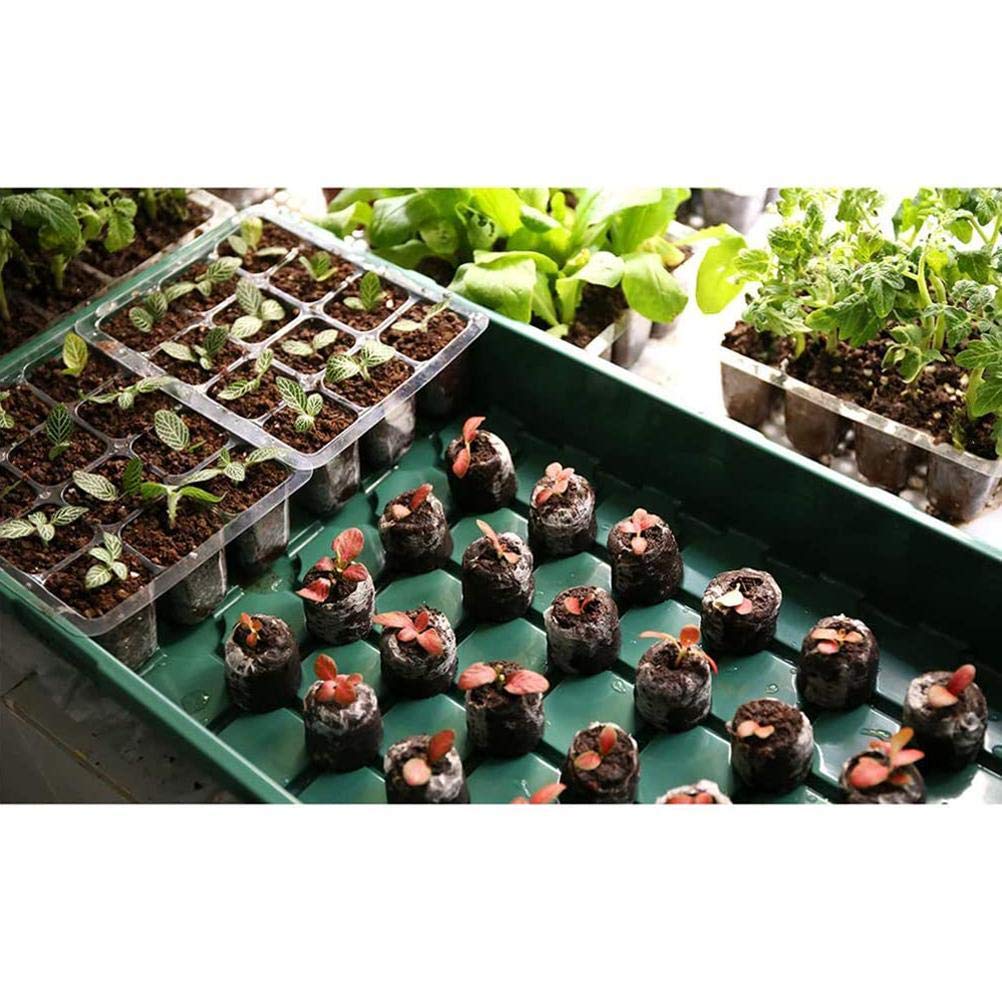 TOPINCN Caja de Cultivo de Semillas de Plantas, Iniciador de Plántulas de Vivero de 12 Orificios de Plástico de para Jardineros y Cultivadores (1)