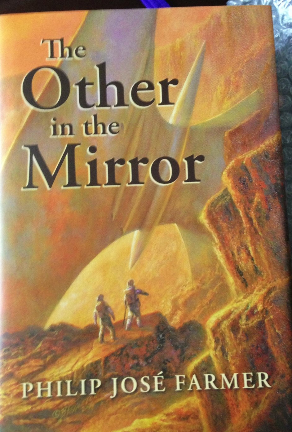 Buy The Other in the Mirror — BookShops.in