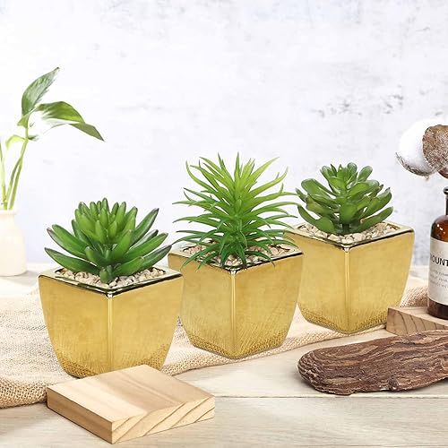 Miniatura 32 de Hollyone Plantas suculentas artificiales grandes en macetas, plantas suculentas falsas de plástico en maceta con maceta de cerámica blanca para 1