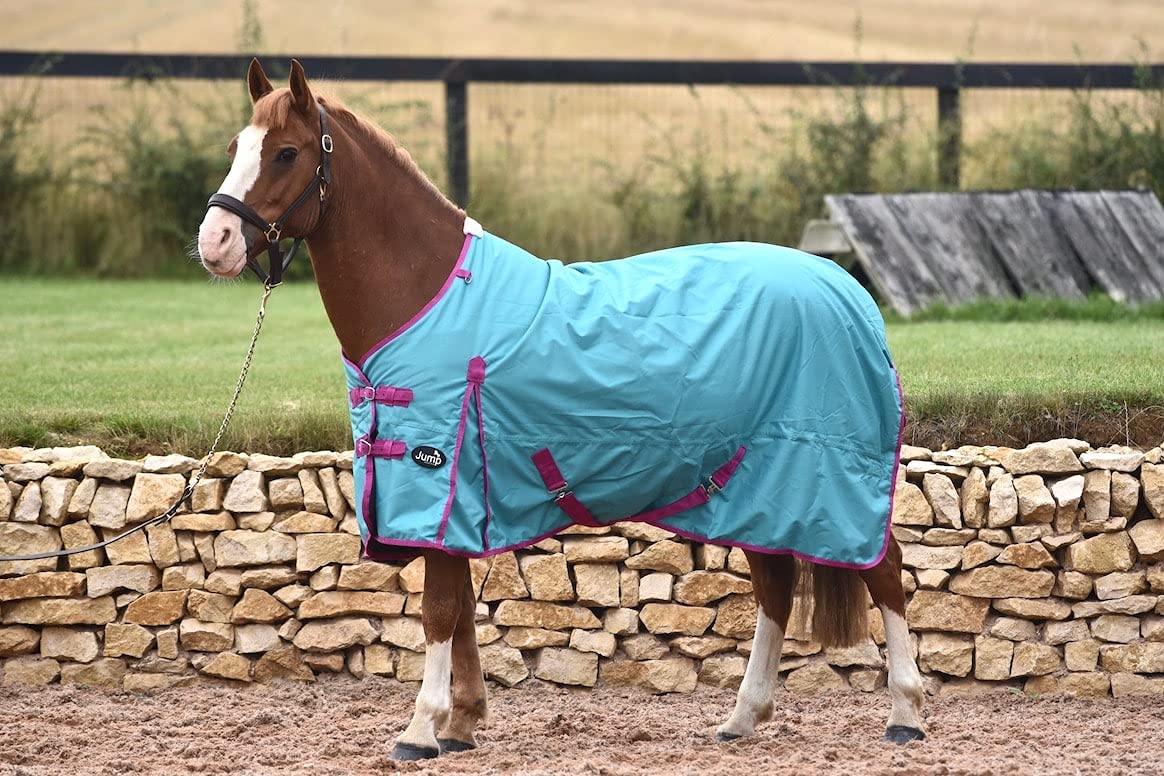 ASTILE EQUESTRIAN JUMP EQUESTRIAN 50G FILL HORSE TURNOUT RUG LIGHTWEIGHT STANDARD NECK HORSE RUG WATERPROOF (7'0'', TEAL)